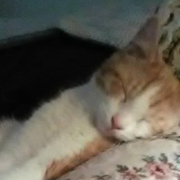 CLOSET BEING UPDATED - Picture 3 of 3